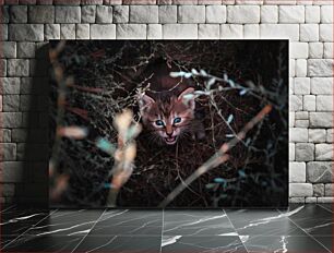 Πίνακας, Hidden Kitten Κρυμμένο γατάκι