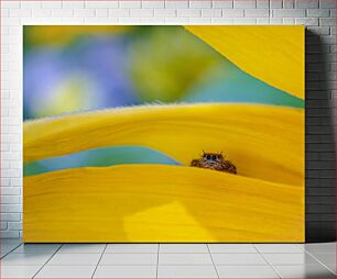 Πίνακας, Hidden Spider in Yellow Flower Κρυμμένη αράχνη σε κίτρινο λουλούδι