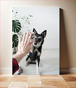 Πίνακας, High Five with a Dog High Five με έναν σκύλο