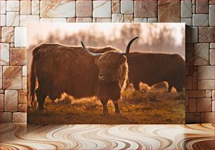 Πίνακας, Highland Cattle at Sunset Βοοειδή Highland στο ηλιοβασίλεμα