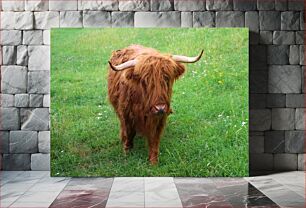 Πίνακας, Highland Cow in Green Field Highland Cow in Green Field