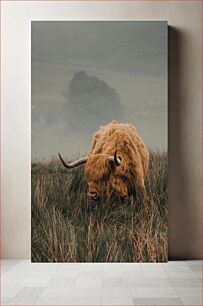 Πίνακας, Highland Cow in Misty Field Highland Cow στο Misty Field