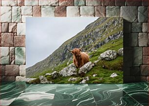 Πίνακας, Highland Cow in Rocky Landscape Αγελάδα Highland στο βραχώδες τοπίο