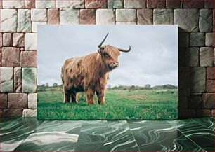 Πίνακας, Highland Cow in the Field Highland Cow in the Field