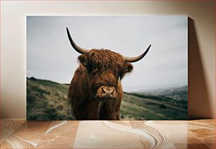 Πίνακας, Highland Cow in the Hills Highland Cow in the Hills
