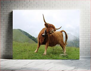 Πίνακας, Highland Cow in the Mountains Highland Cow in the Mountains
