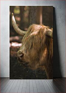 Πίνακας, Highland Cow in the Woods Highland Cow in the Woods