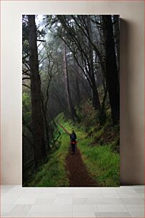 Πίνακας, Hiker in a Misty Forest Πεζοπόρος σε ένα ομιχλώδες δάσος