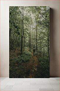 Πίνακας, Hiker in Dense Forest Πεζοπόρος στο Πυκνό Δάσος