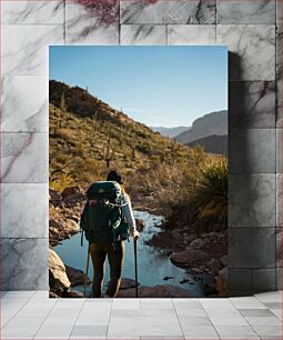 Πίνακας, Hiker in Desert Landscape Πεζοπόρος στο έρημο τοπίο