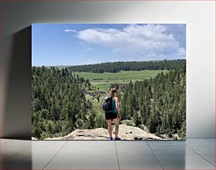 Πίνακας, Hiker Overlooking a Forested Valley Πεζοπόρος με θέα σε μια δασωμένη κοιλάδα