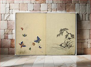 Πίνακας, Hinagata cho (Model Book)