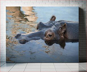 Πίνακας, Hippo in Water Ιπποπόταμος στο νερό