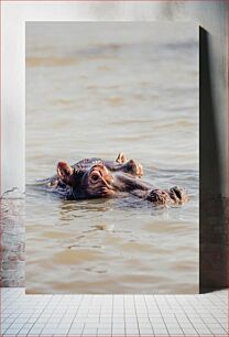 Πίνακας, Hippo in Water Ιπποπόταμος στο νερό