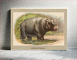 Πίνακας, Hippopotamus, from the Animals of the World series (T180), issued by Abdul Cigarettes