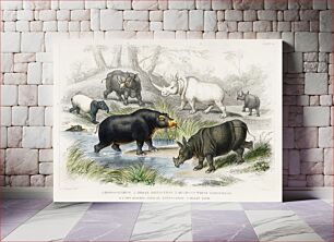 Πίνακας, Hippopotamus, Indian Rhinoceros, Muchoco, White Rhinoceros, Two Horned African Rhinoceros, and Malay Tapir. A History of the Earth and Animated Nature (1820) by Oliver Goldsmith (1730-1774)