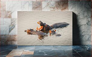 Πίνακας, Hippopotamuses in Water Ιπποπόταμοι στο νερό