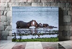 Πίνακας, Hippos in the Water Ιπποπόταμοι στο νερό