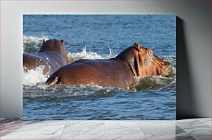 Πίνακας, Hippos in Water Ιπποπόταμοι στο νερό