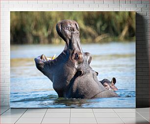 Πίνακας, Hippos in Water Ιπποπόταμοι στο νερό