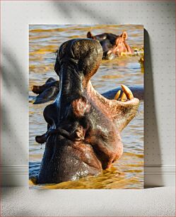 Πίνακας, Hippos in Water Ιπποπόταμοι στο νερό