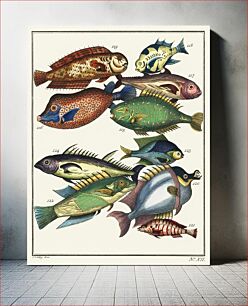 Πίνακας, Histoire Generale des Voyages (1767) by J V Schley, a collage of colorful rare exotic fish
