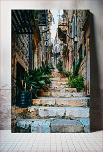 Πίνακας, Historic Alley with Stone Steps and Plants Ιστορικό δρομάκι με πέτρινα σκαλοπάτια και φυτά