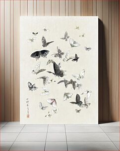 Πίνακας, Hokusai's Butterflies and Moths (1830-1850)
