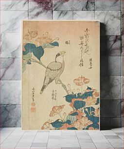 Πίνακας, Hokusai's Grosbeak and mirabilis