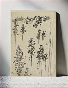 Πίνακας, Hokusai's Pine tree (1790)