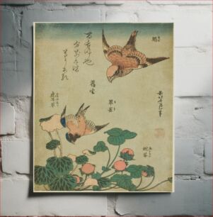 Πίνακας, Hokusai's Swallow and begonia and strawberry pie