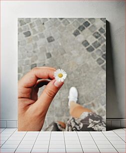 Πίνακας, Holding a Daisy Κρατώντας μια Μαργαρίτα