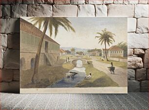 Πίνακας, Holland Estate, St. Thomas in the East, Jamaica [One of ]