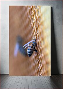 Πίνακας, Honey Bee on Honeycomb Μέλισσα στην κηρήθρα