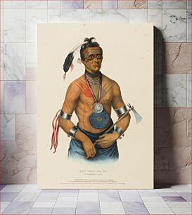 Πίνακας, HOO-WAN-NE-KA, A WINNEBAGO CHIEF., from History of the Indian Tribes of North America