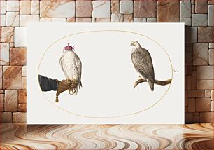 Πίνακας, Hooded Falcon and Its Wild Counterpart (1575–1580) by Joris Hoefnagel