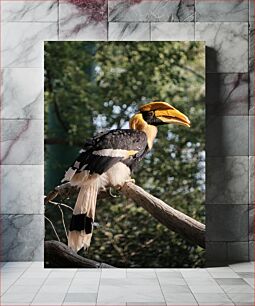 Πίνακας, Hornbill on a Branch Hornbill σε ένα κλαδί