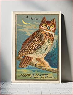 Πίνακας, Horned Owl, from the Birds of America series (N4) for Allen & Ginter Cigarettes Brands