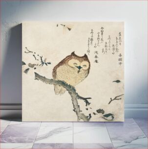 Πίνακας, Horned owl on a branch (19th century) vintage Japanese print by Kubota Shunman
