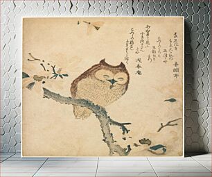 Πίνακας, Horned Owl on Flowering Branch during 19th century by Kubota Shunman