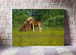 Πίνακας, Horse and Foal in a Meadow Άλογο και πουλάρι σε λιβάδι