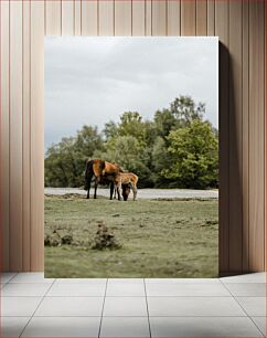 Πίνακας, Horse and Foal in Nature Άλογο και Πουλάρι στη Φύση