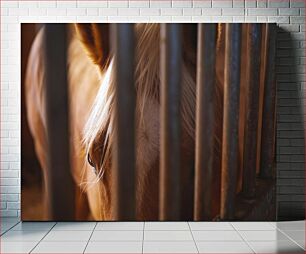 Πίνακας, Horse Behind Bars Άλογο πίσω από τα κάγκελα