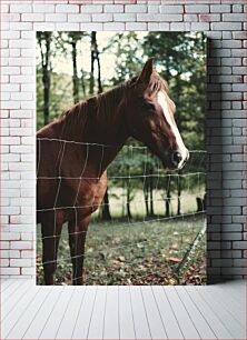 Πίνακας, Horse Behind Fence Άλογο πίσω από το φράχτη