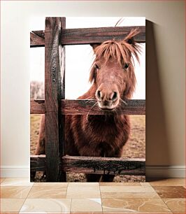 Πίνακας, Horse Behind Wooden Fence Άλογο Πίσω από Ξύλινο Φράχτη