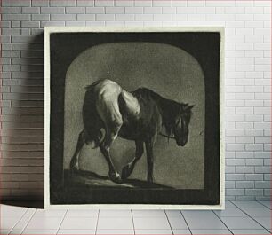 Πίνακας, Horse by Anonymous