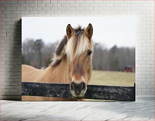 Πίνακας, Horse by the Fence Horse by the Fence