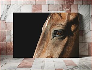 Πίνακας, Horse Close-up Κοντινό πλάνο αλόγων
