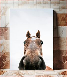 Πίνακας, Horse Close-Up Κοντινό πλάνο αλόγου