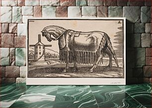 Πίνακας, Horse, covered with scapular, profile to left by Melchior Lorck